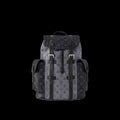 LV Backpack Two tone